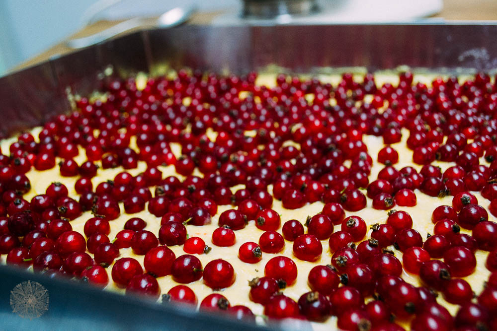 FrauBpunkt Johannisbeer Baiser Kuchen Christiansenff fiba-15