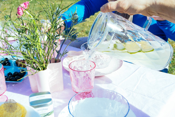 FrauBpunkt Limonade koziol Crystal Picknick Rezept-0345