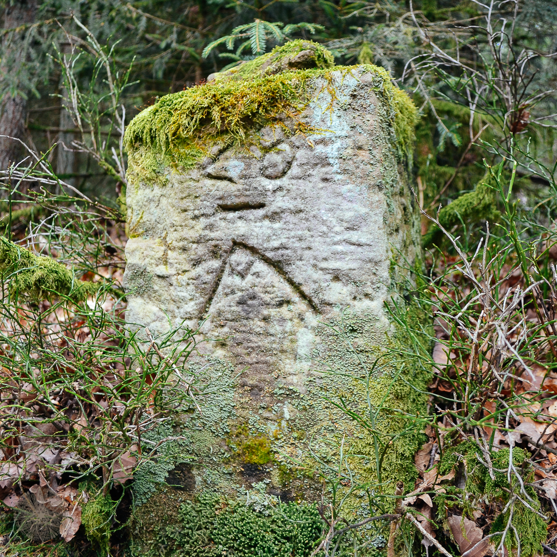 FrauBpunkt Storytelling Ostern Rezept Familie süßes Kraut1-6650