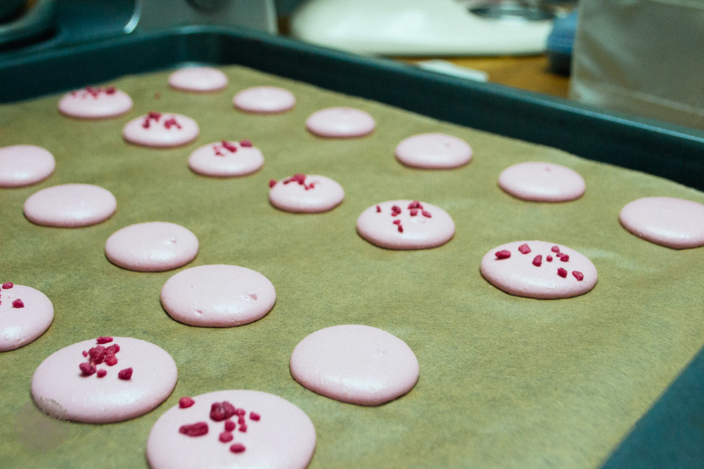 FrauBpunkt Koziol Geburtstag Teenager Mojito Macarons (78)