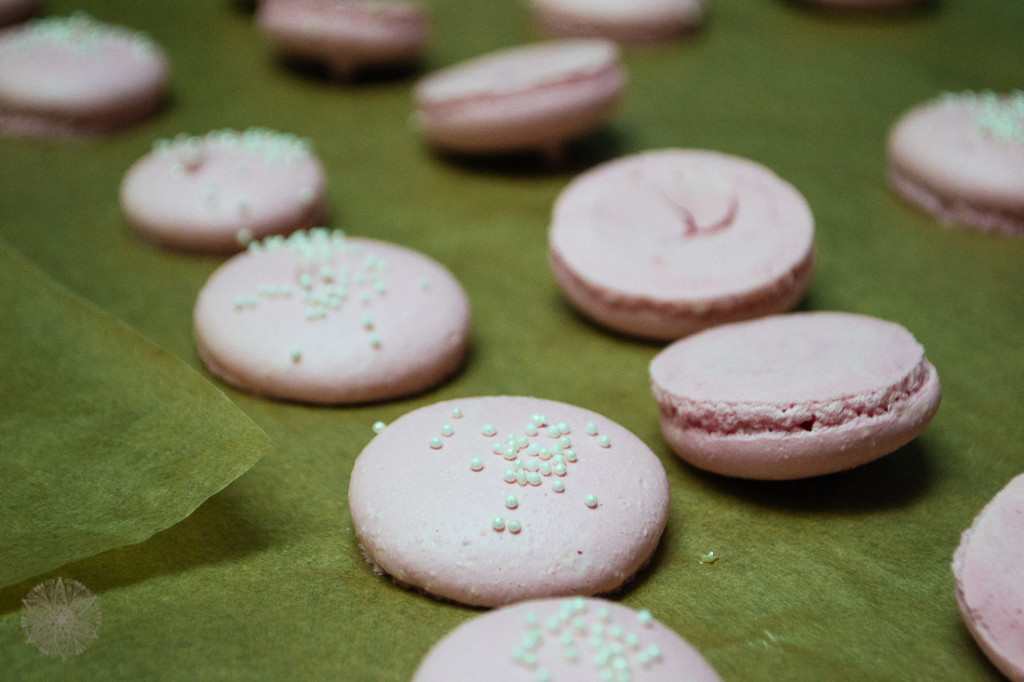 FrauBpunkt Koziol Geburtstag Teenager Mojito Macarons (92)