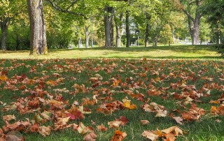 FrauBpunkt Reise Marienbad Falkensteiner Waldbaden Kur (136 von 222)