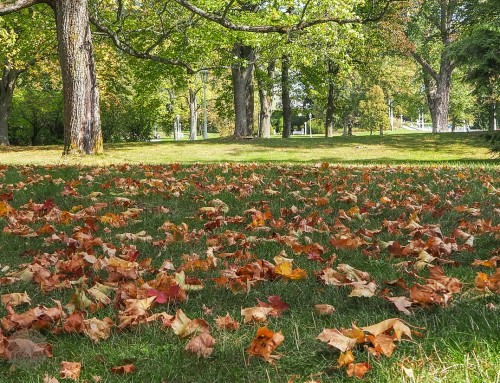 Durchatmen und Auftanken in Marienbad – Kur Reloaded