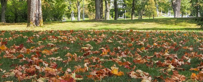 FrauBpunkt Reise Marienbad Falkensteiner Waldbaden Kur (136 von 222)